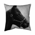 Begin Home Decor 20 x 20 in. Gallopin The Horse-Double Sided Print Indoor Pillow 5541-2020-AN64-1